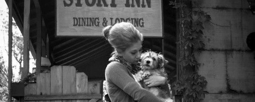 Lily Gieryn Contributor